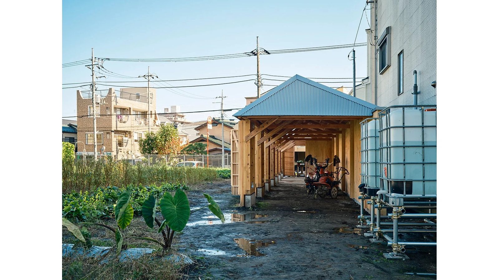 畑のBackyard