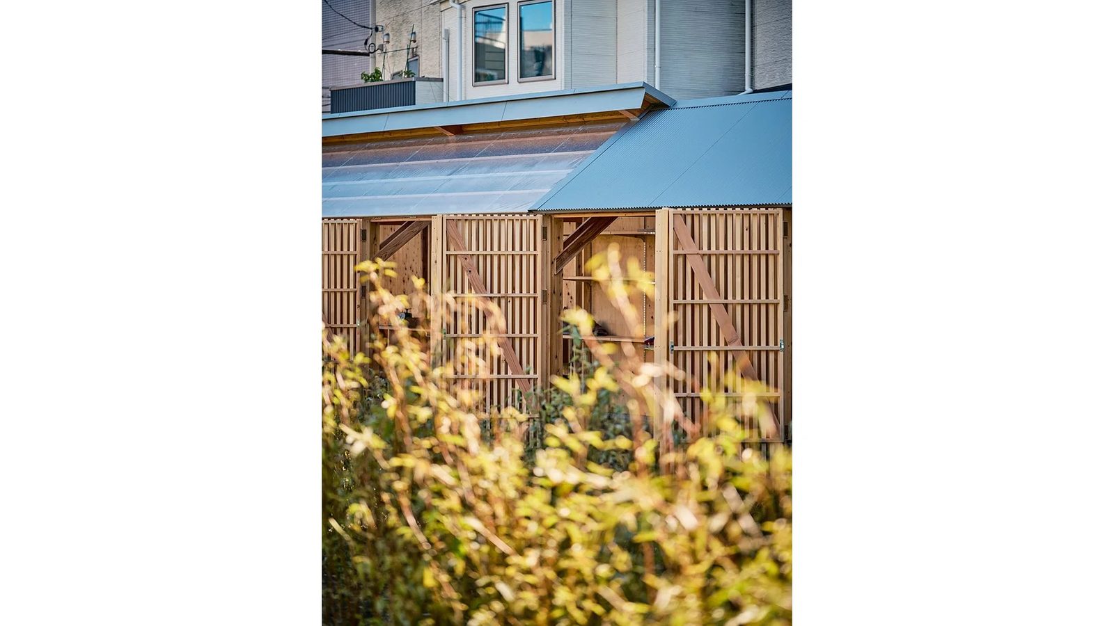 畑のBackyard