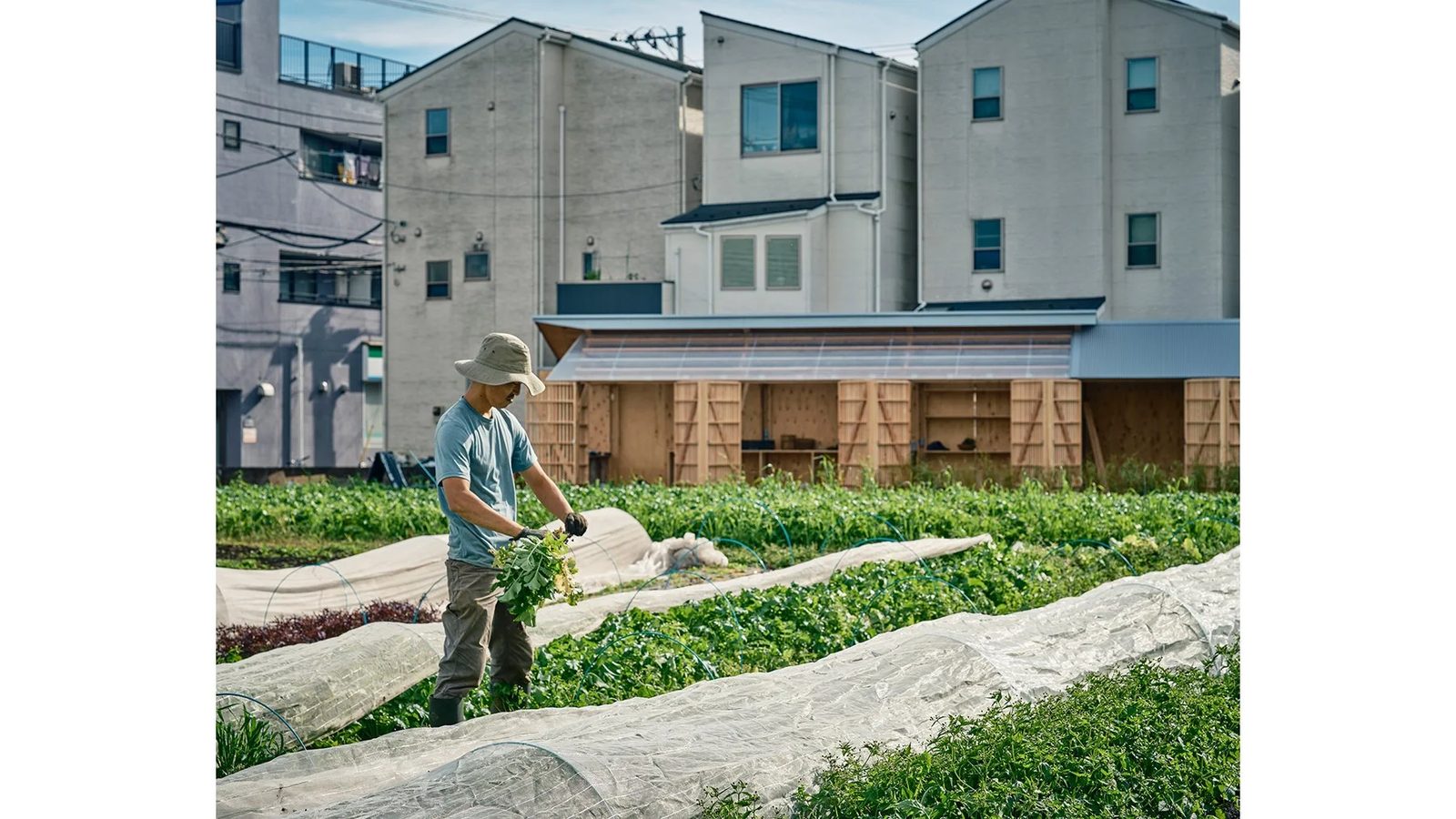畑のBackyard