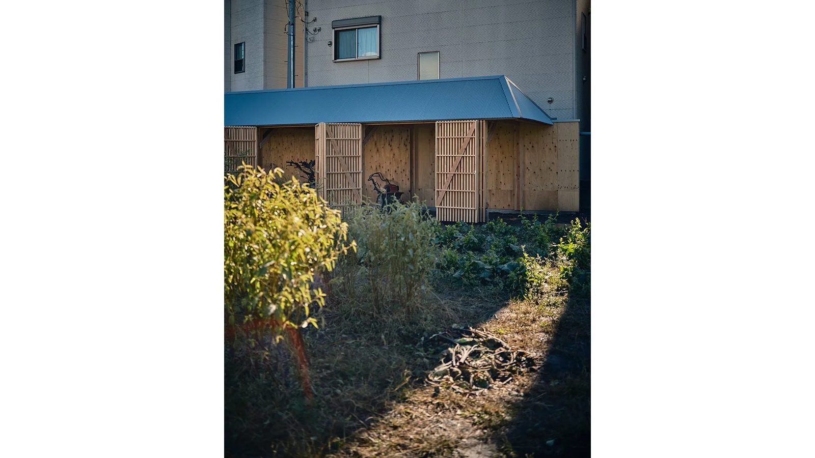 畑のBackyard